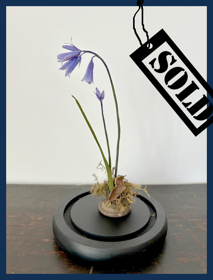SOLD - Bluebell Wood Sculpture by Kelly Swani