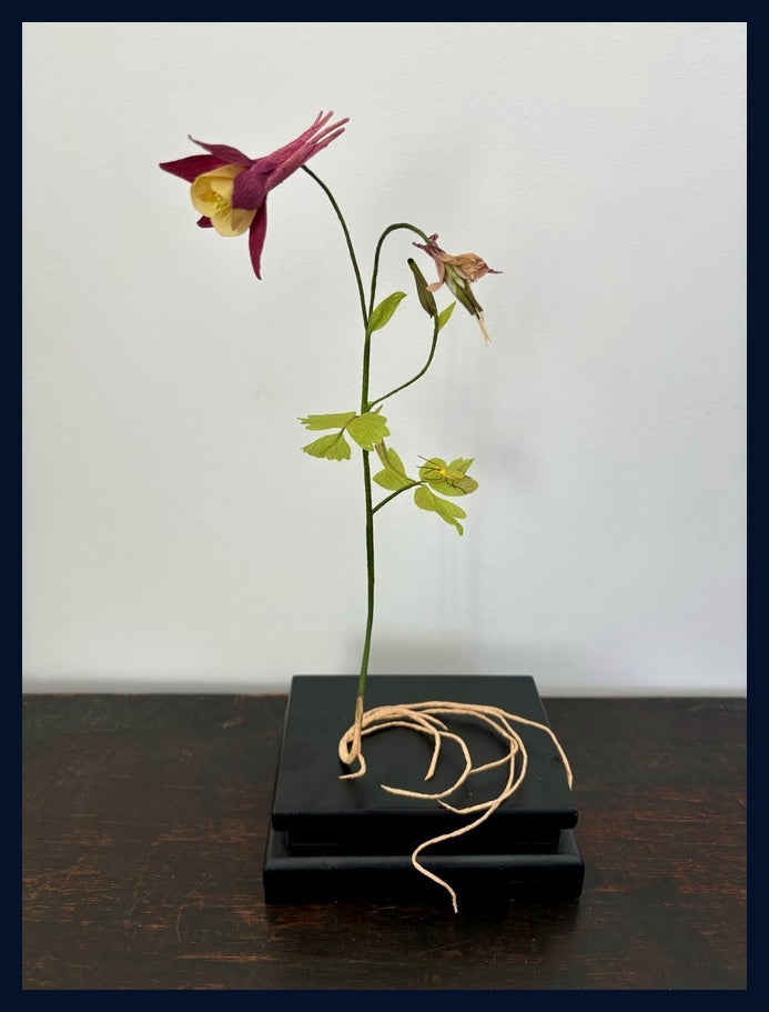 Aquilegia Sculpture by Kelly Swani