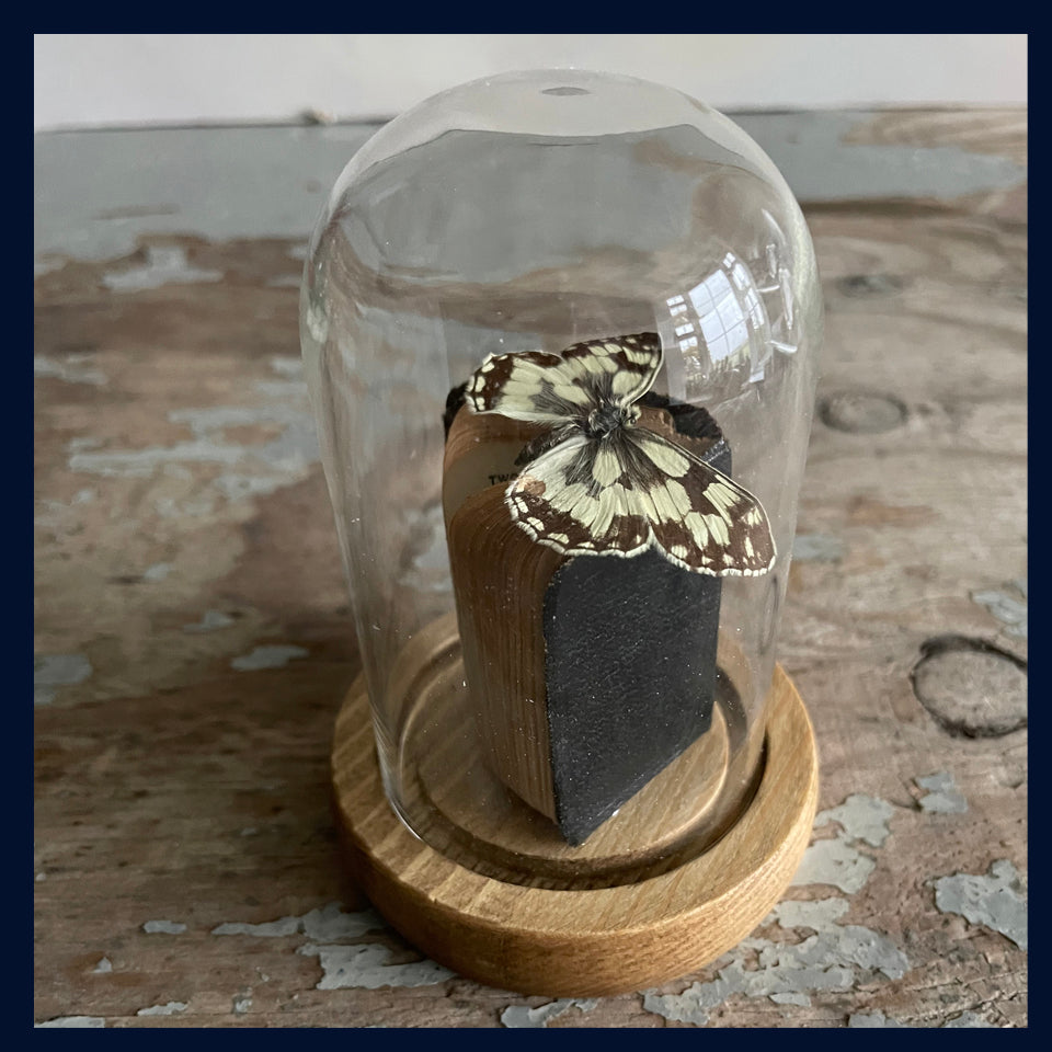 Enigma Variations Collection: Miniature Antique Shakespeare's 'Two Gentlemen of Verona' Book with a Vintage Specimen Butterfly in a Glass Display Dome