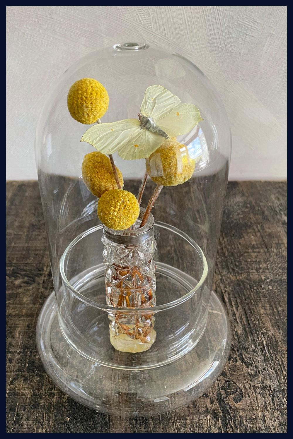 Enigma Variations Collection: Antique Crystal Vase with a Vintage Butterfly in a Glass Display Dome