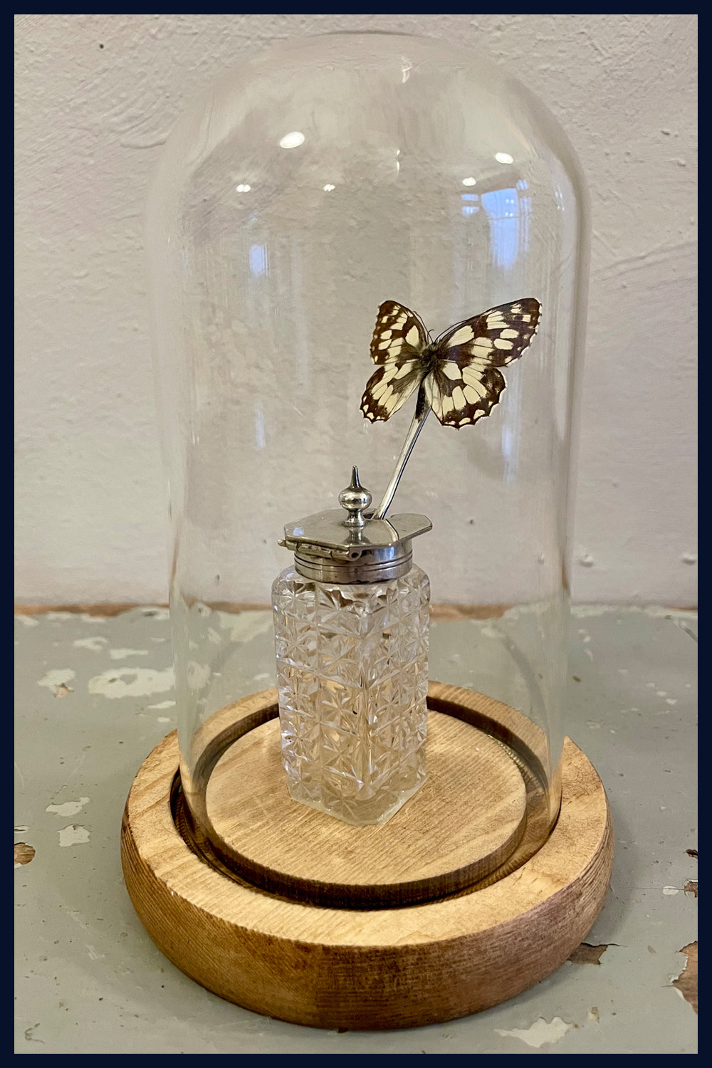 Enigma Variations Collection: Antique Crystal Salt Pot & Spoon with a Vintage Butterfly in a Glass Display Dome