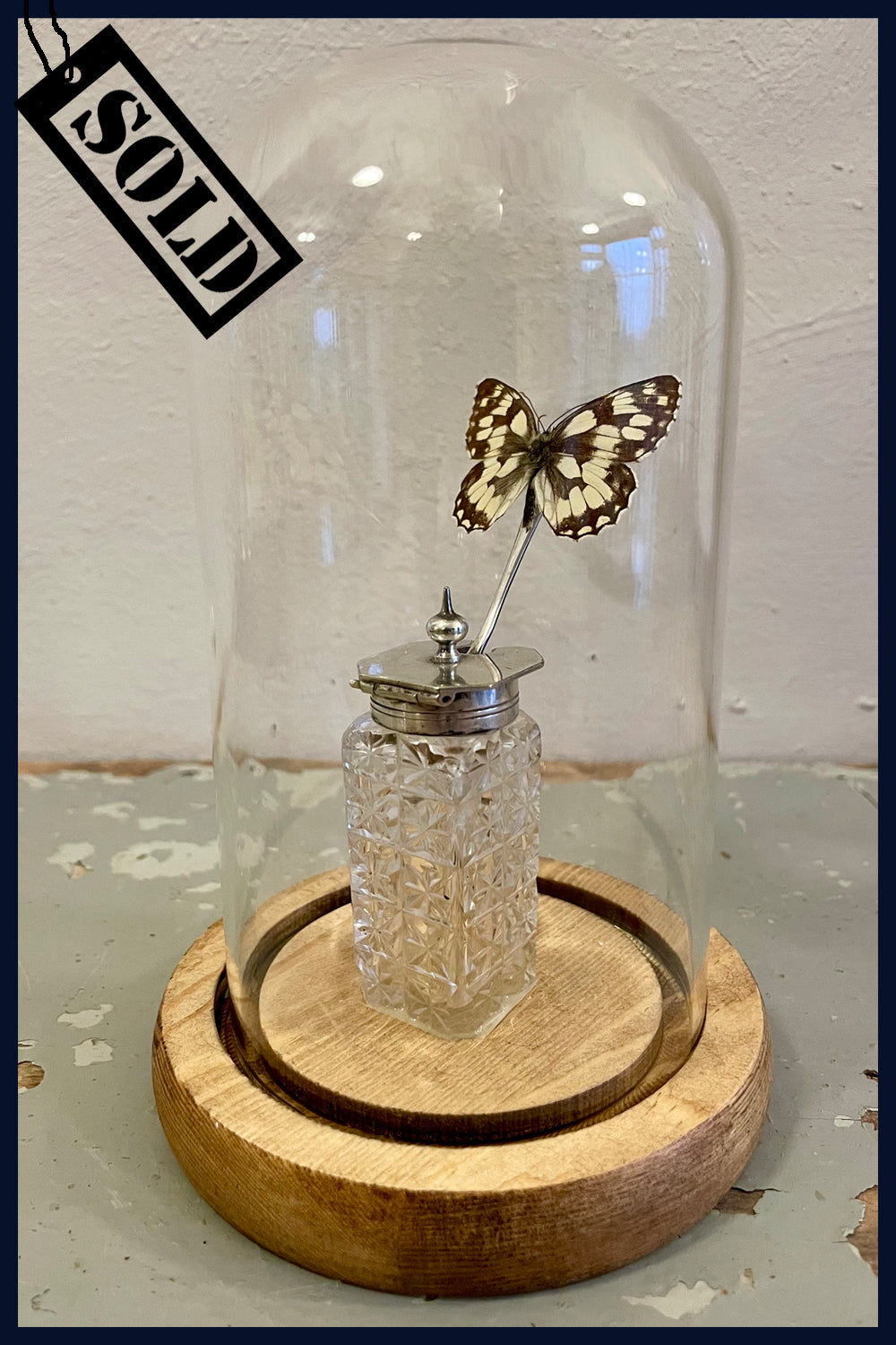 Enigma Variations Collection: Antique Crystal Salt Pot & Spoon with a Vintage Butterfly in a Glass Display Dome