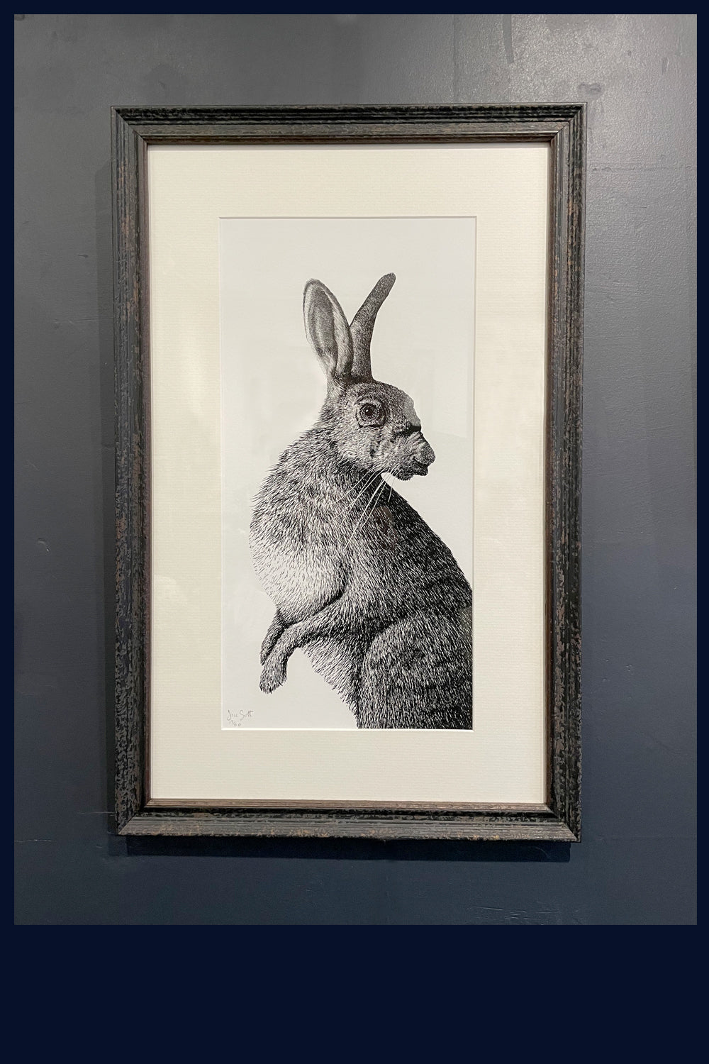 Framed: A Hard Stare: Hare 2.  Limited Edition of 50 Fine Art Print