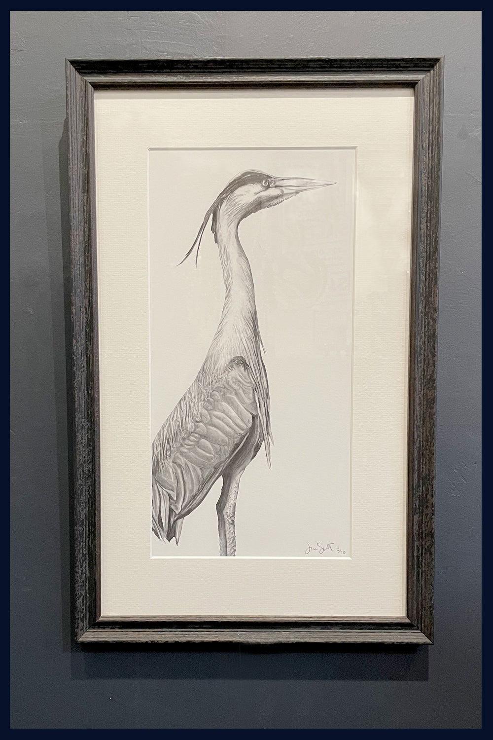 Framed Heron Limited Edition of 75 Fine Art Print