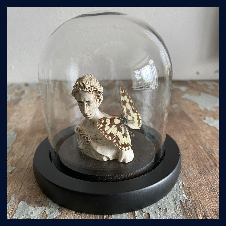 Enigma Variations Collection: Ancient Rome Miniature Classical Statue with a Vintage Butterfly in a Glass Display Dome