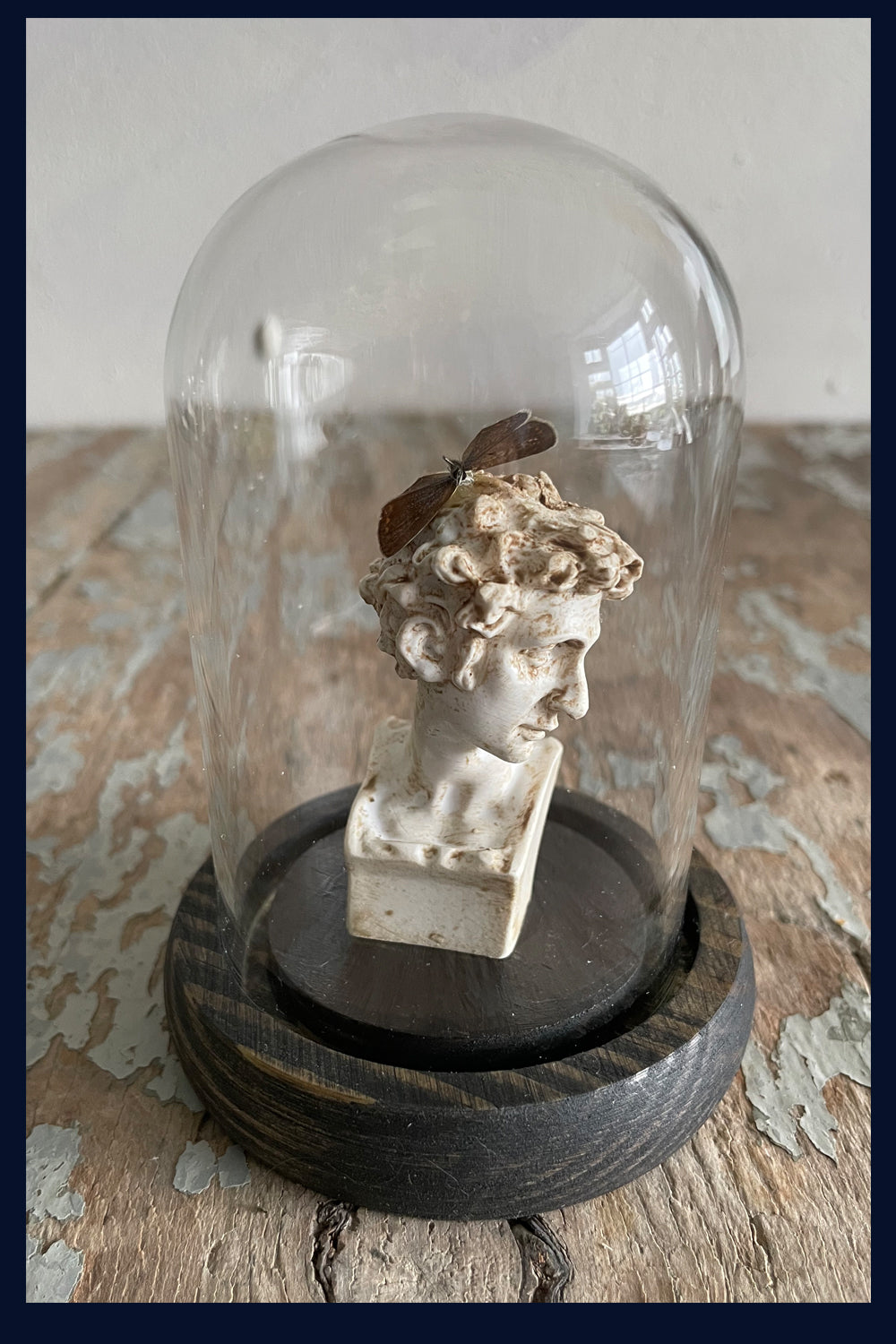 Enigma Variations Collection: Ancient Rome Miniature Senator Statue with a Vintage Butterfly in a Glass Display Dome