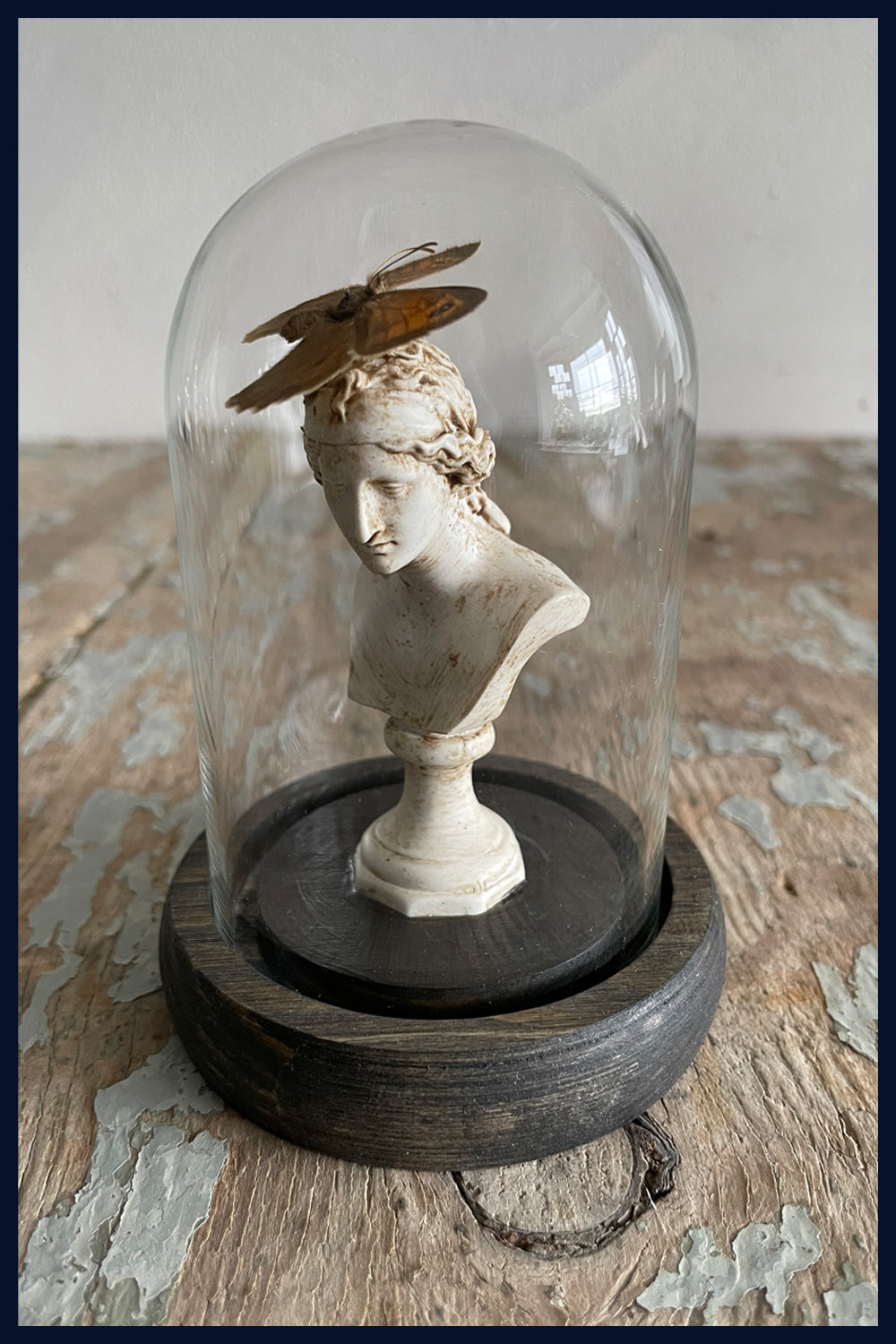 Enigma Variations Collection: Ancient Rome Miniature Classical Statue with a Vintage Butterfly in a Glass Display Dome (3)