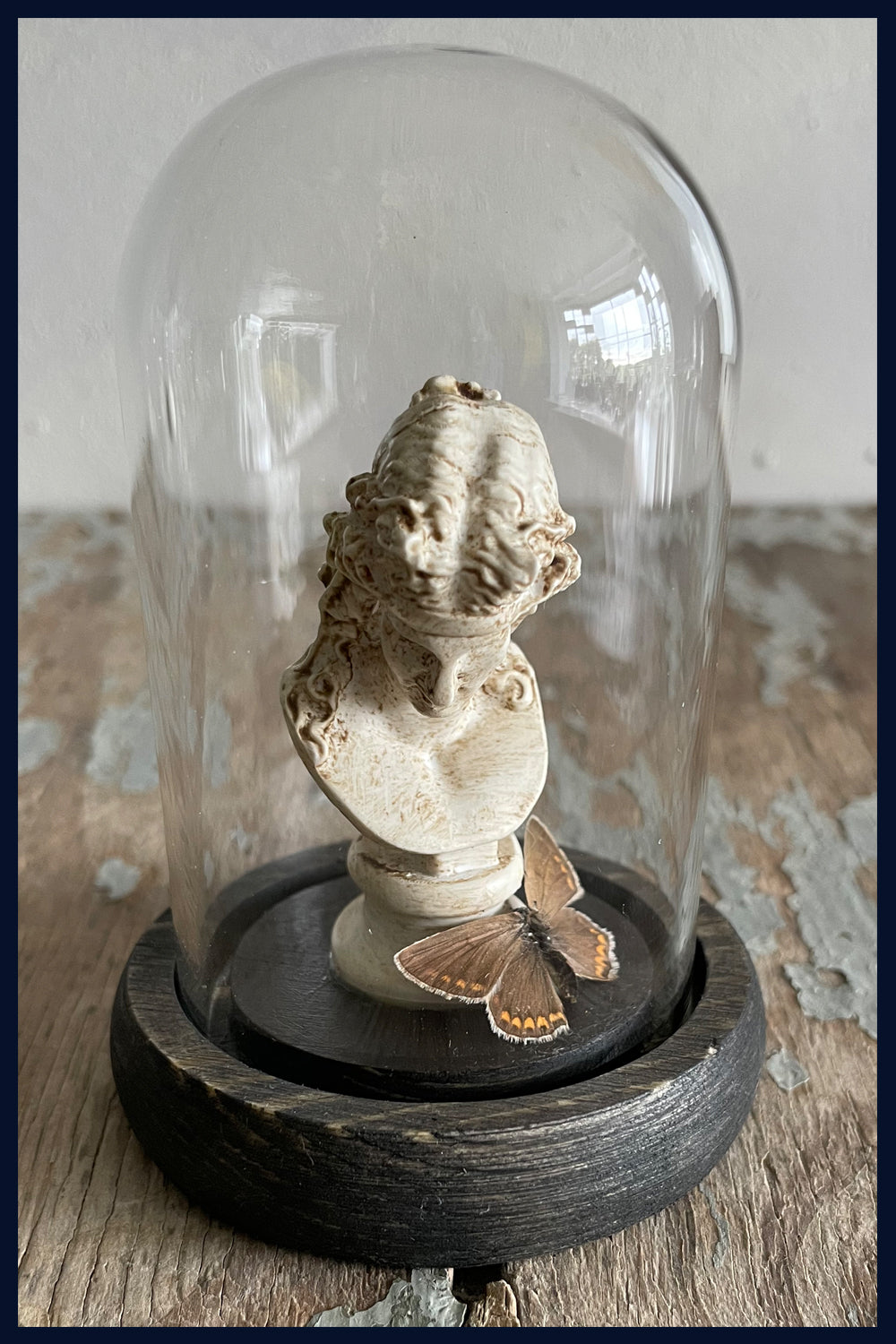 Enigma Variations Collection: Ancient Rome Miniature Classical Statue with a Vintage Butterfly in a Glass Display Dome (4)