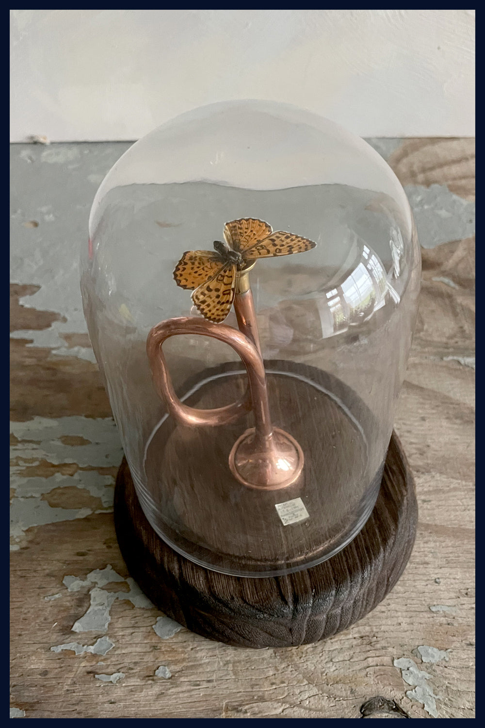 Enigma Variations Collection: Miniature Vintage Copper Coaching Horn with a Vintage Butterfly under a Glass Display Dome