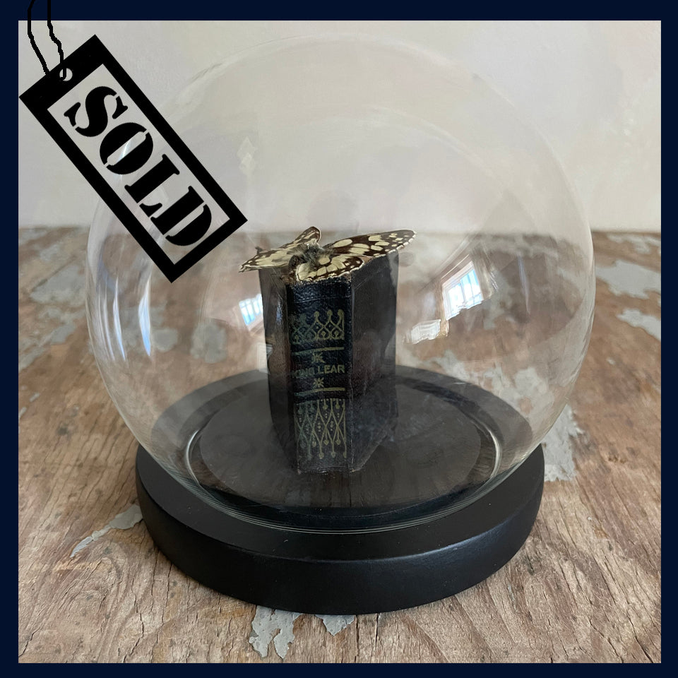 SOLD Enigma Variations Collection: Miniature 1920s/30s 'King Lear with a Vintage Butterfly in a Glass Display Dome