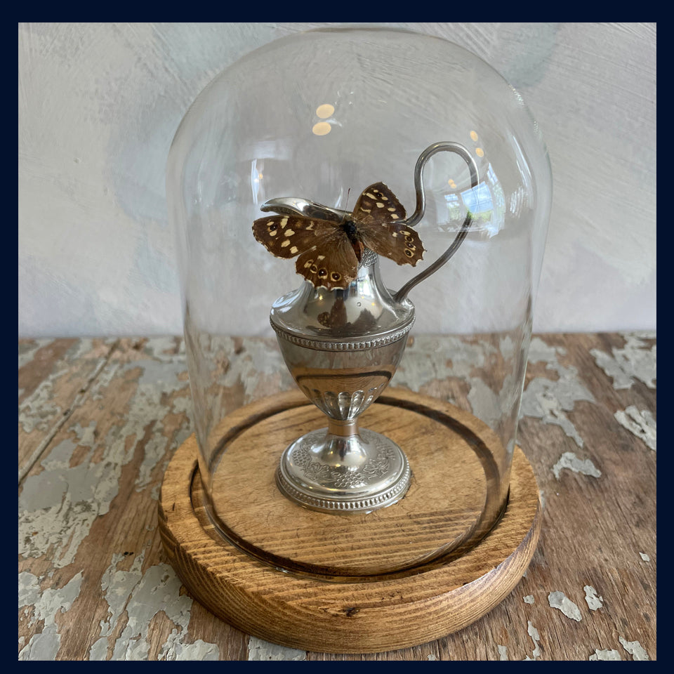Enigma Variations Collection: Miniature Vintage Silver-Plated Urn with a Vintage Butterfly under a Glass Display Dome